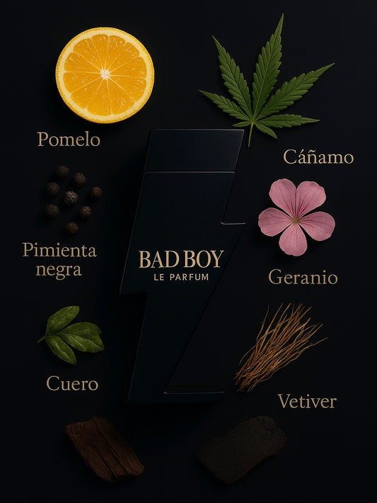 Bad Boy Le Parfum